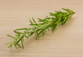 Rosemary plant