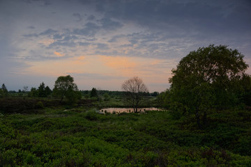 Im Reservat Hohes Venn,Hautes Fagnes, Belgien