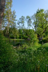 Sommerimpressionen am See