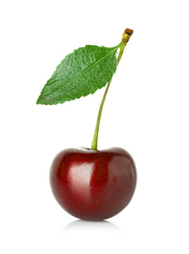 Sweet cherry with the leaf isolated on a white background.