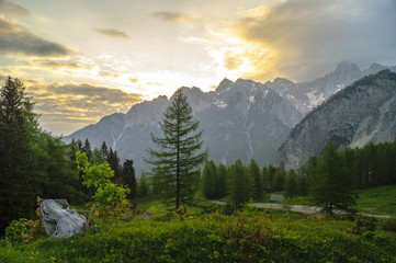 Górska łąka w Alpach Słoweńskich © Mike Mareen