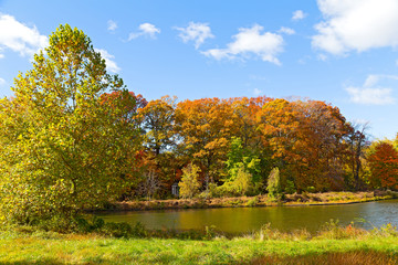 Obraz premium Colorful fall foliage of deciduous trees near the water.