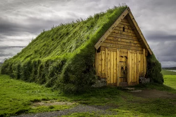 Garden poster Scandinavia Turf House