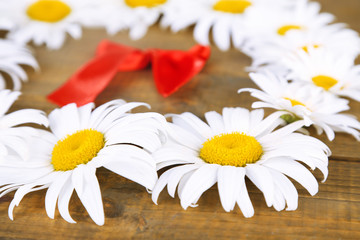 Obraz premium Chamomile wreath with red ribbon on brown wooden background