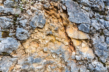 Rock texture background