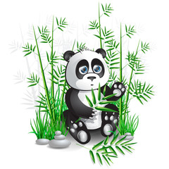 Obraz premium panda bamboo