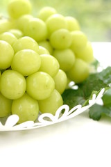 シャインマスカット