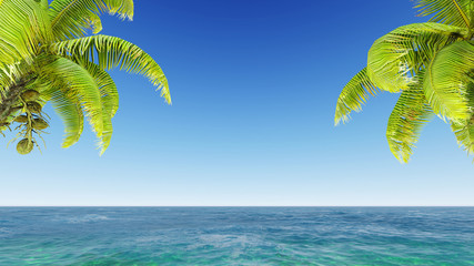Fototapeta na wymiar coconuts on the beach.