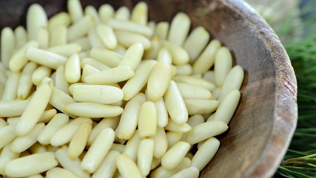 Heap of Pine Nuts (loopable)