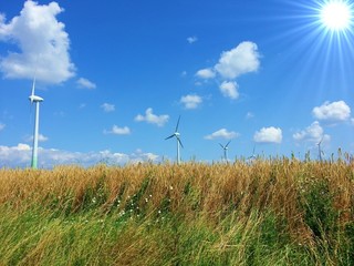 Windpark auf dem Lande