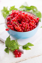 Red currant