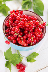 Red currant