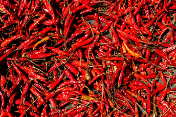 Background texture of chili