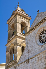 Fototapeta premium Cathedral of Assunta. Minervino Murge. Puglia. Italy.