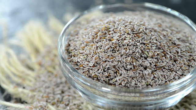 Portion of Psyllium Seeds (loopable)