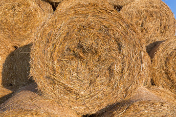 Piled hay bales on a field against blue sky