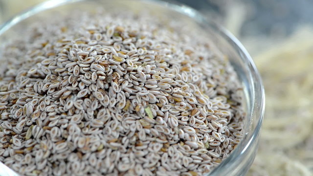 Portion of Psyllium Seeds (not loopable)