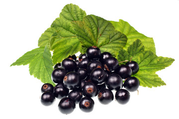Blackcurrants