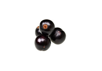Blackcurrants fruit