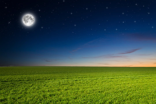 Green field in the night