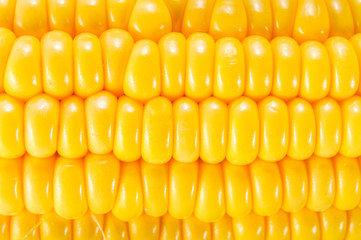 Corn, corn background