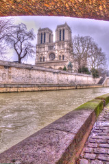 Cathédrale Notre-Dame de Paris
