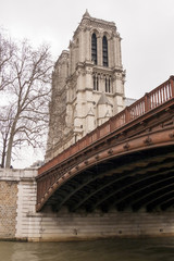 Fototapeta na wymiar Cathédrale Notre-Dame de Paris