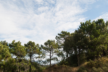 Range of Espada in Castellon de la Plana, Valencia, Spain