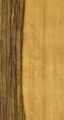 Naklejka premium texture of limba tree