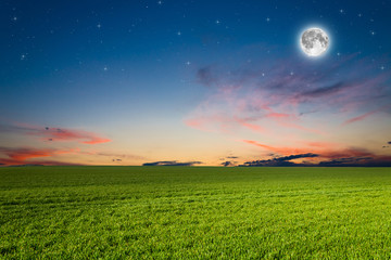 Green field in the night.