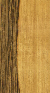 texture of limba tree