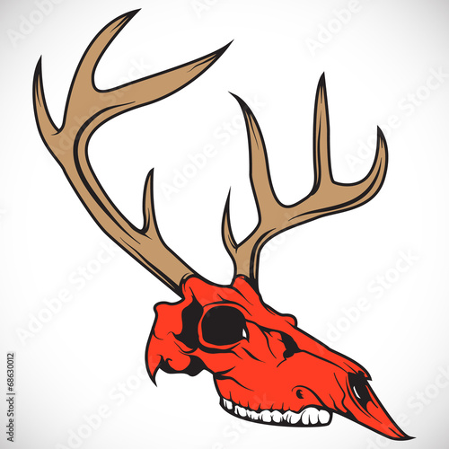 "The skull of a deer. Vector." Stock image and royalty-free vector