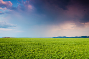 Obraz premium green field in the night