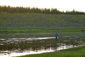 Obraz premium The Fly Fisher