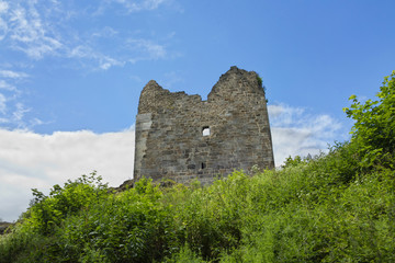 Fototapeta premium ruins of Primda castle