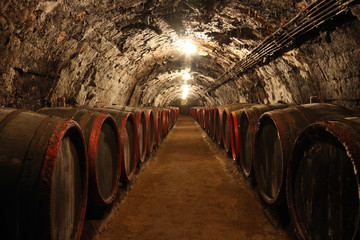 Wine cellar in Tokaj, Hungary