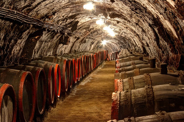 Obrazy na Plexi  Winiarnia w Tokaju na Węgrzech