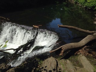 Bronx river waterfall