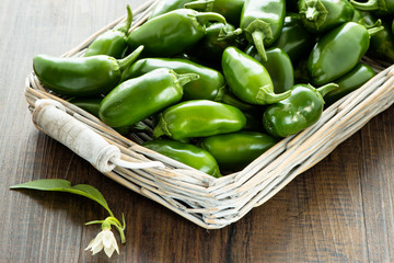 Jalapenos Chili mit Blüte und Blatt