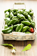 Korb mit Jalapenos