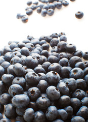 Freshly picked blueberries