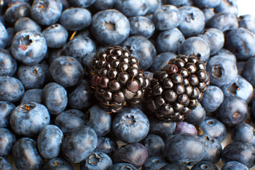 Freshly picked blueberries and blackberries close-up