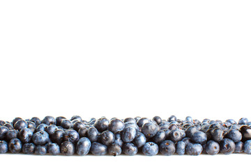 Freshly picked blueberries