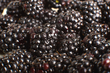 Fresh Ripe Blackberries