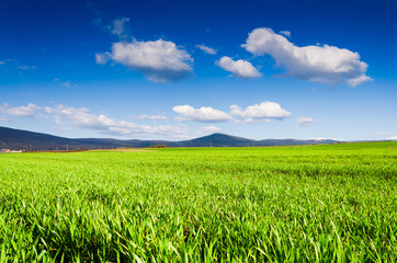 green field background