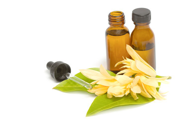  Essential aroma oil with champaka flower