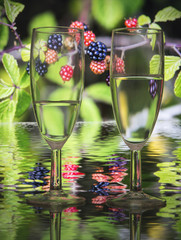 two glasses of champagne with a background of blackberries