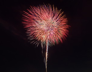 colorful firework from japanese traditional summer festival