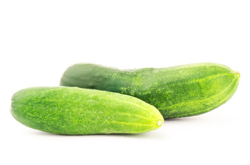 Fresh cucumber