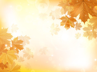 Naklejka na ściany i meble Autumn design background with leaves